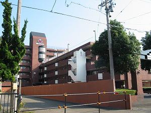 信開ドムス舞崎
