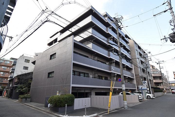 クレマチス28