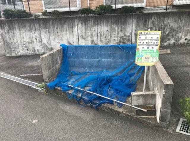 コスモス