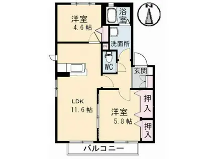 ラ・パルテール福泊 II棟(2LDK/1階)の間取り写真