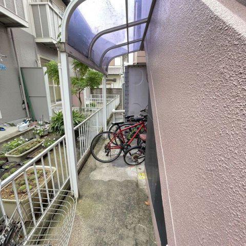 林檎の樹