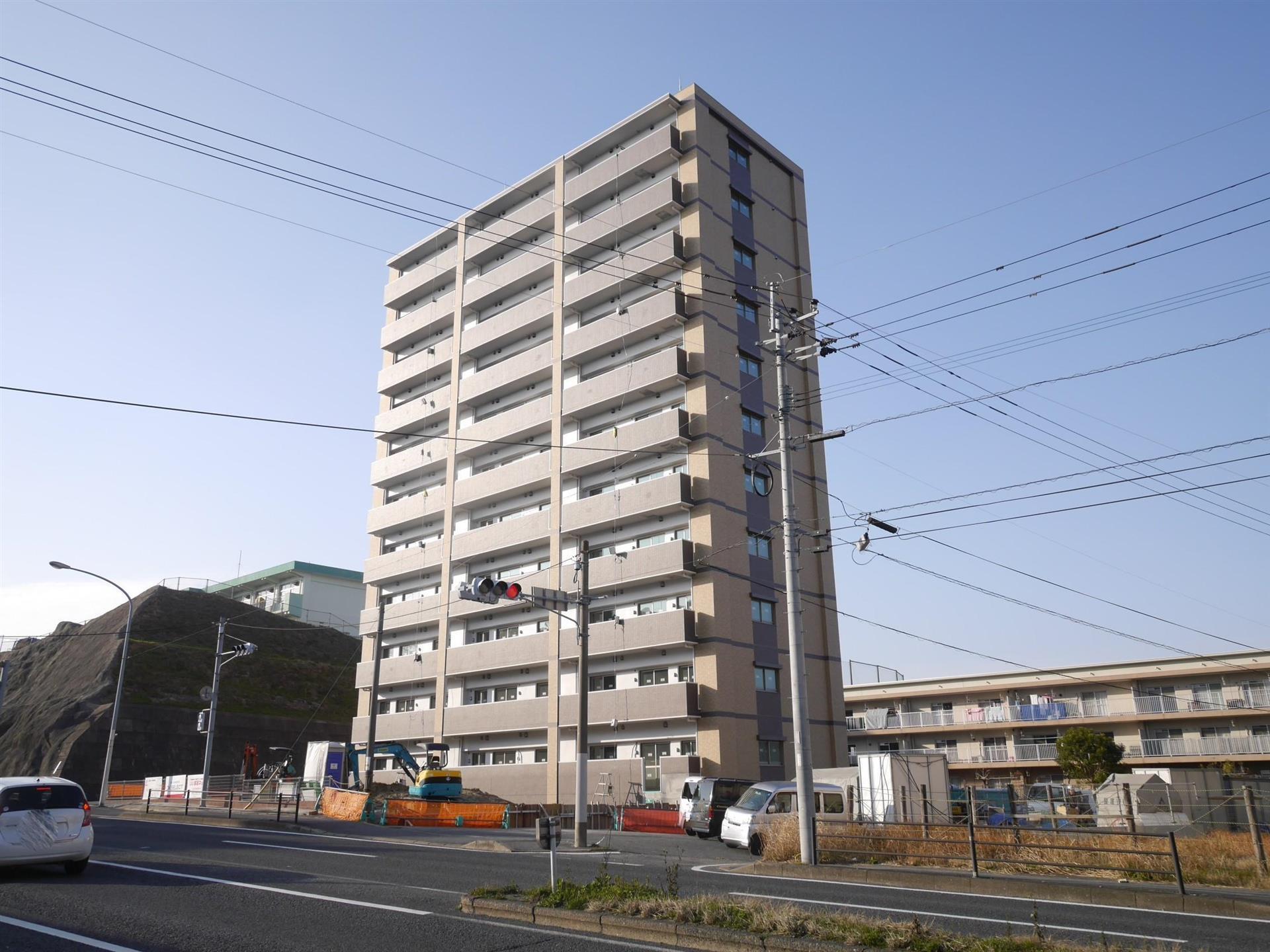 エヴァーグリーンR