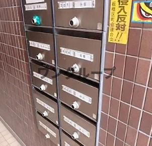 シューファイテラス