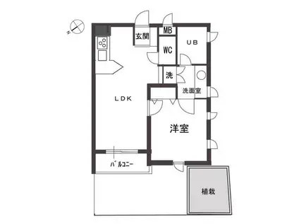 エルスタンザ中目黒(1LDK/1階)の間取り写真