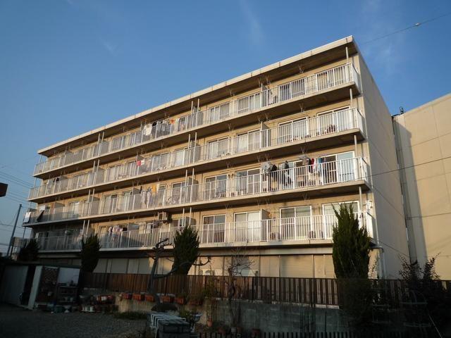 アルカディア岸