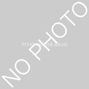 A・CITY三河安城東町II(1K/1階)の間取り写真