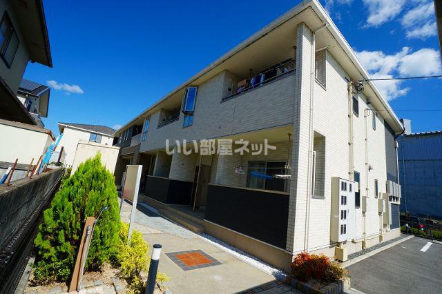 ヴィオラ