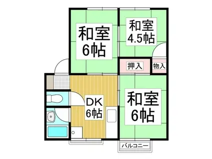 コーポラスカネ京(3DK/1階)の間取り写真