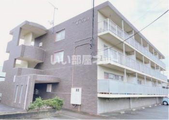 サイプレス