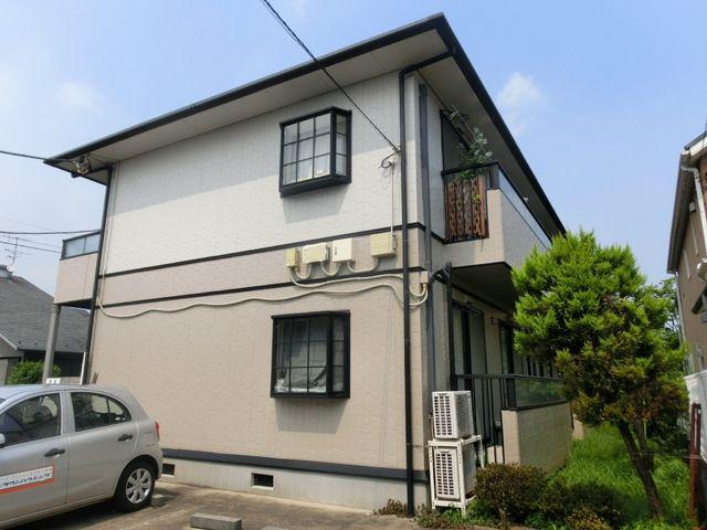 マグノリア