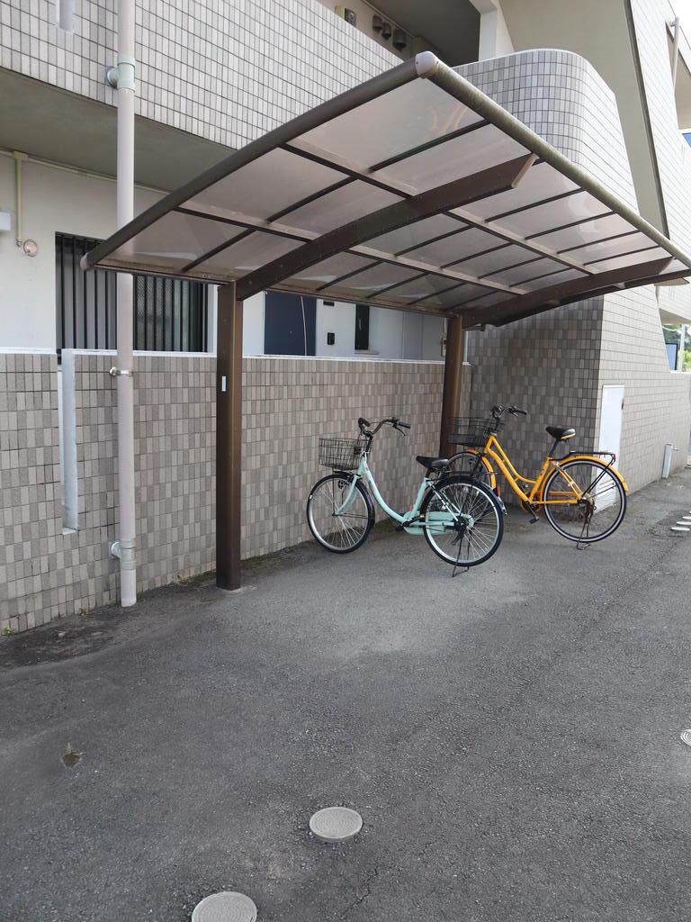 ステラマリス