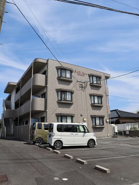 ステラマリス