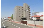 サンシルクパール