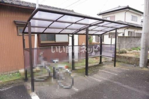 コスモス