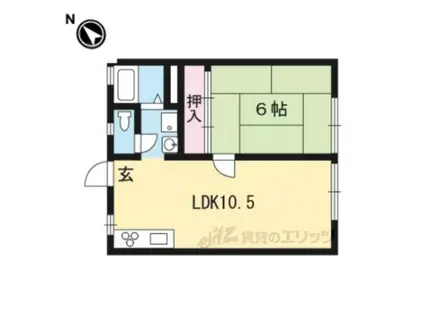 和泉ハイツ(1LDK/1階)の間取り写真