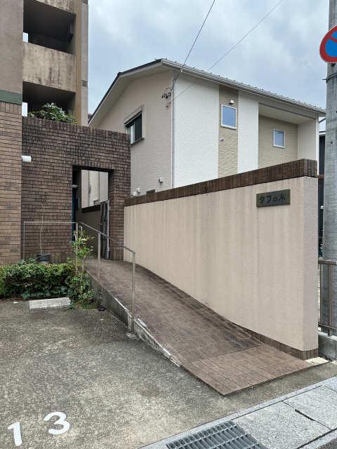 タブの木