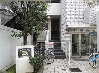 トップ蓮根