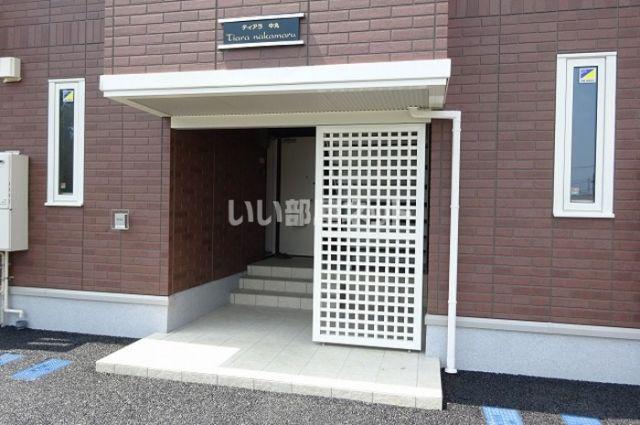 ティアラ 中丸