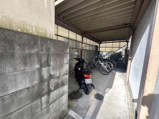 ブルースノーシラクニ