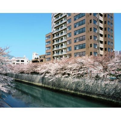 MFPR目黒タワー(1LDK/4階)の間取り写真