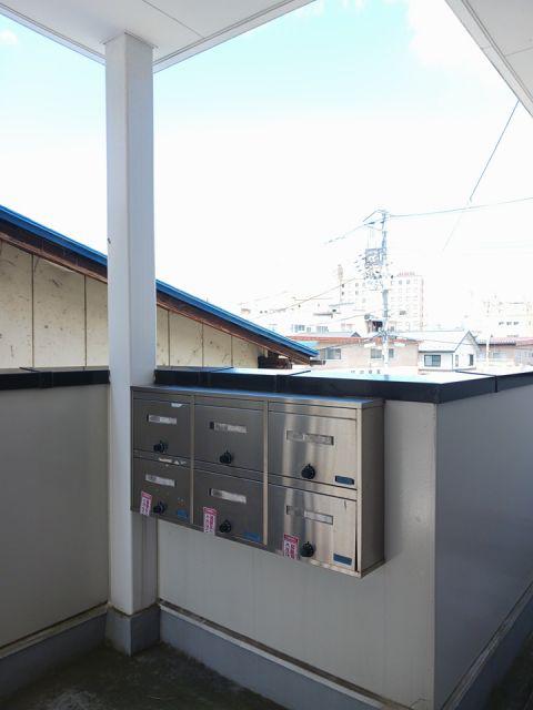 パインリーフ