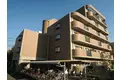 シャルマンシェソワ