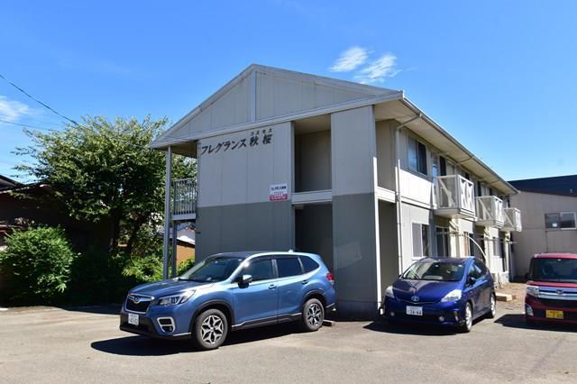 フレグランス秋桜