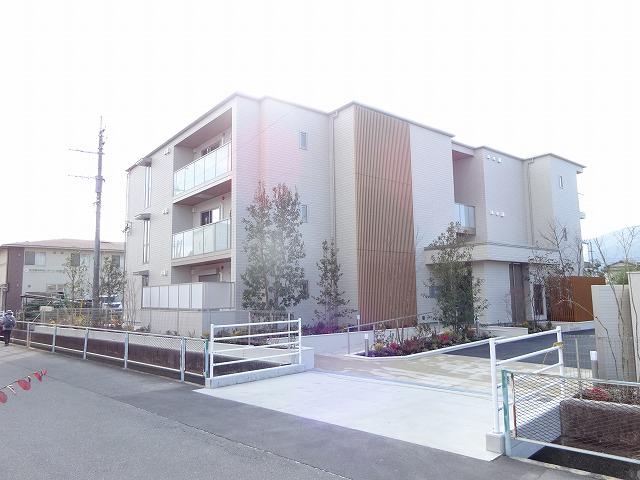 BLOOM STAGE