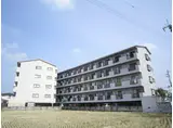 レオハイム津田II