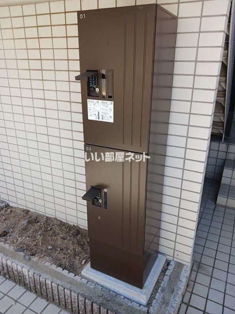 カサフェリスII