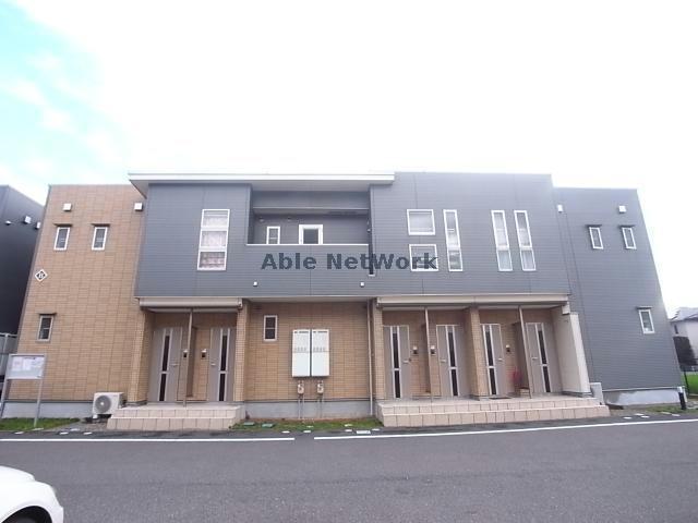 コートデイジーB