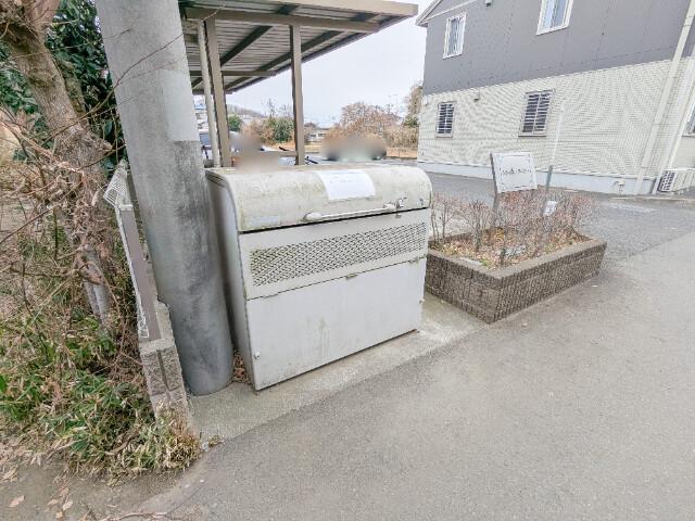 ソレイユ・アイビー