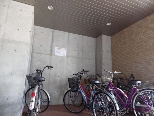ティーブロッサム