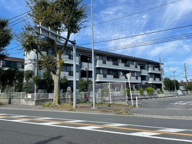 ステーシア