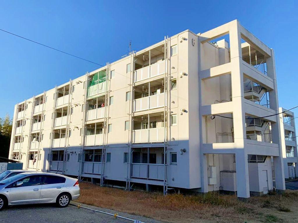 ビレッジハウス愛生7号棟(3DK/3階)