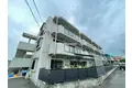 クリザンテーム