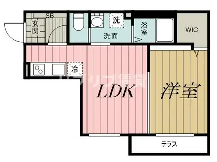 セミカ葛城 II(1LDK/1階)の間取り写真