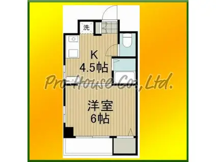 ハイツベルスプリング(1DK/5階)の間取り写真