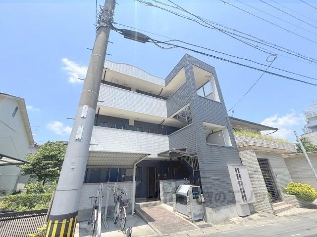PRIMERO TAKANO