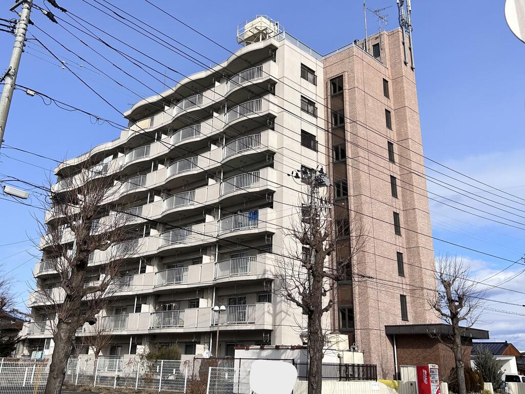 プレシャス長者