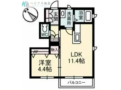 クレール桜木(1LDK/1階)の間取り写真