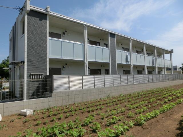 レオネクストティエラ