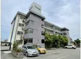 ヴィンテージ