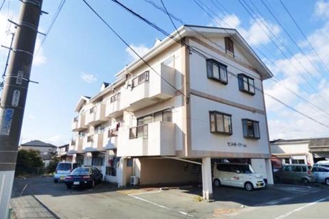 セントポーリアダイニ