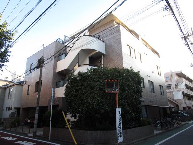 ヒルズT