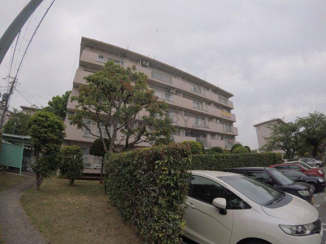 逆瀬川4号棟(1LDK/4階)
