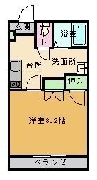 ベルエル春日(1K/1階)の間取り写真