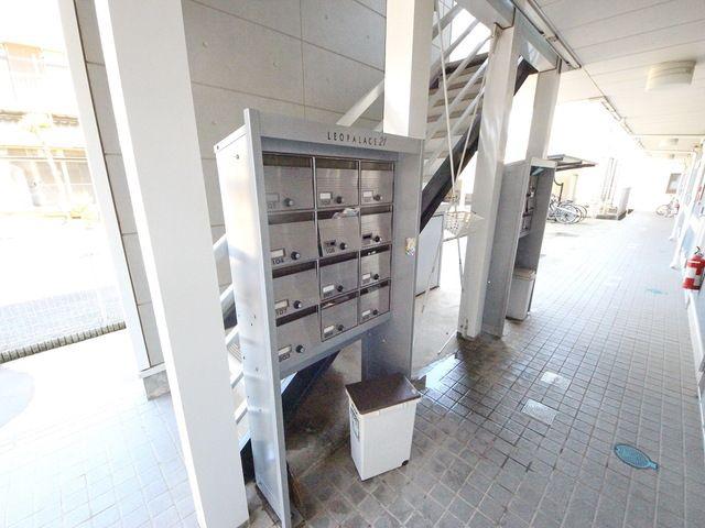レオネクストドリーム金子