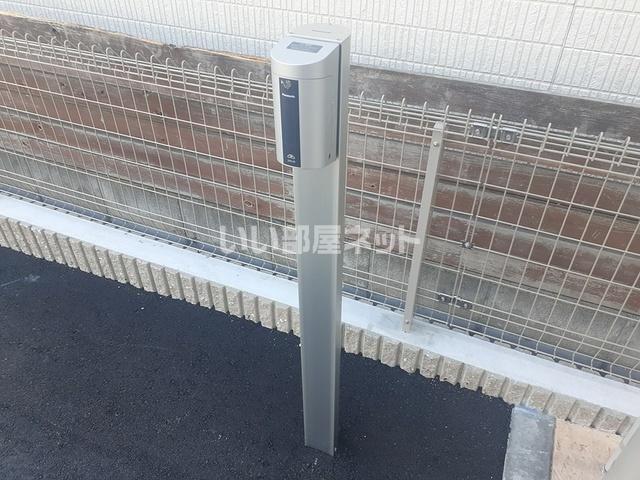 モデルノ クスノキ