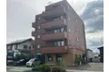 プロシード櫻